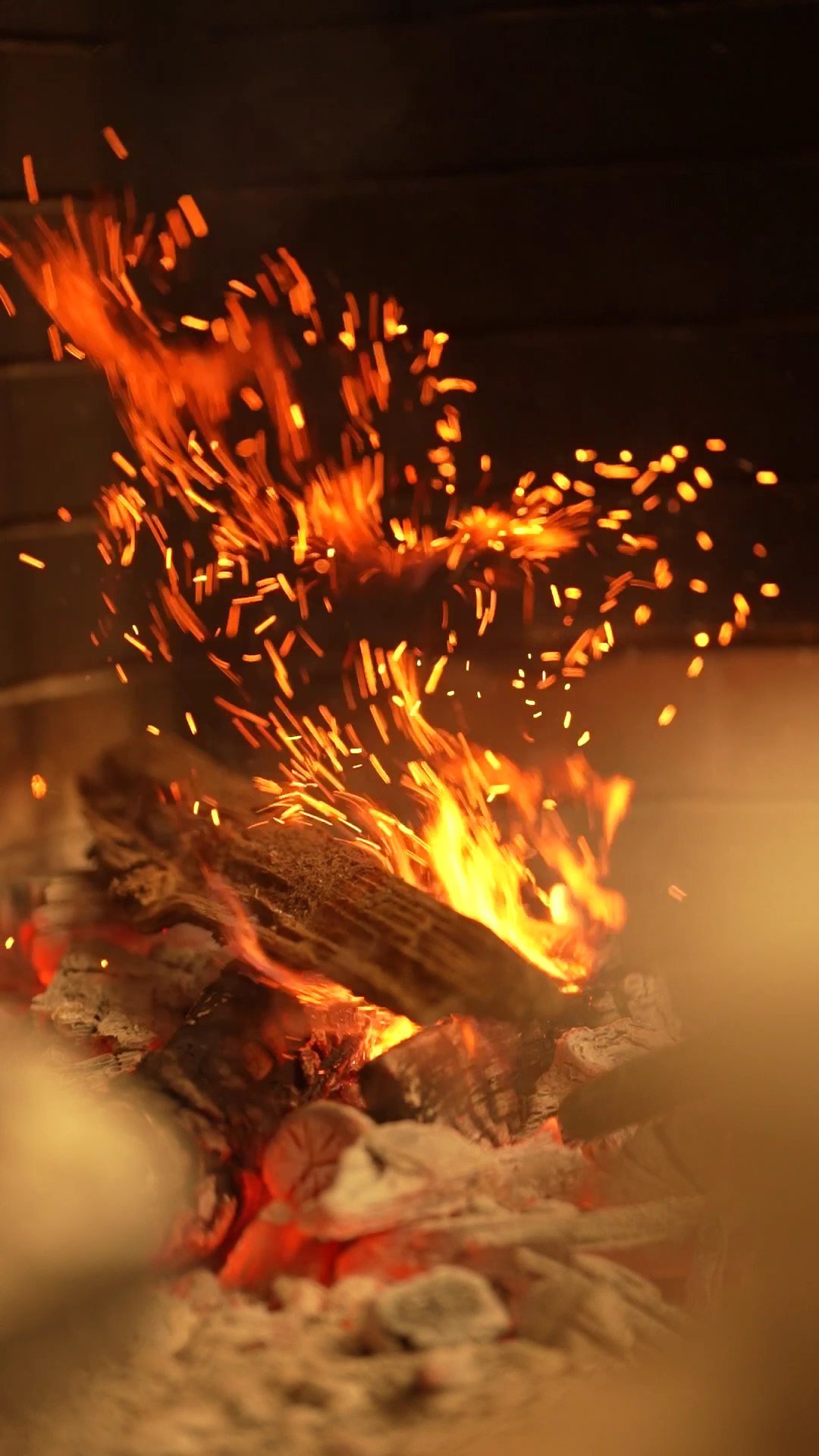 Wood fire in the Jarna oven