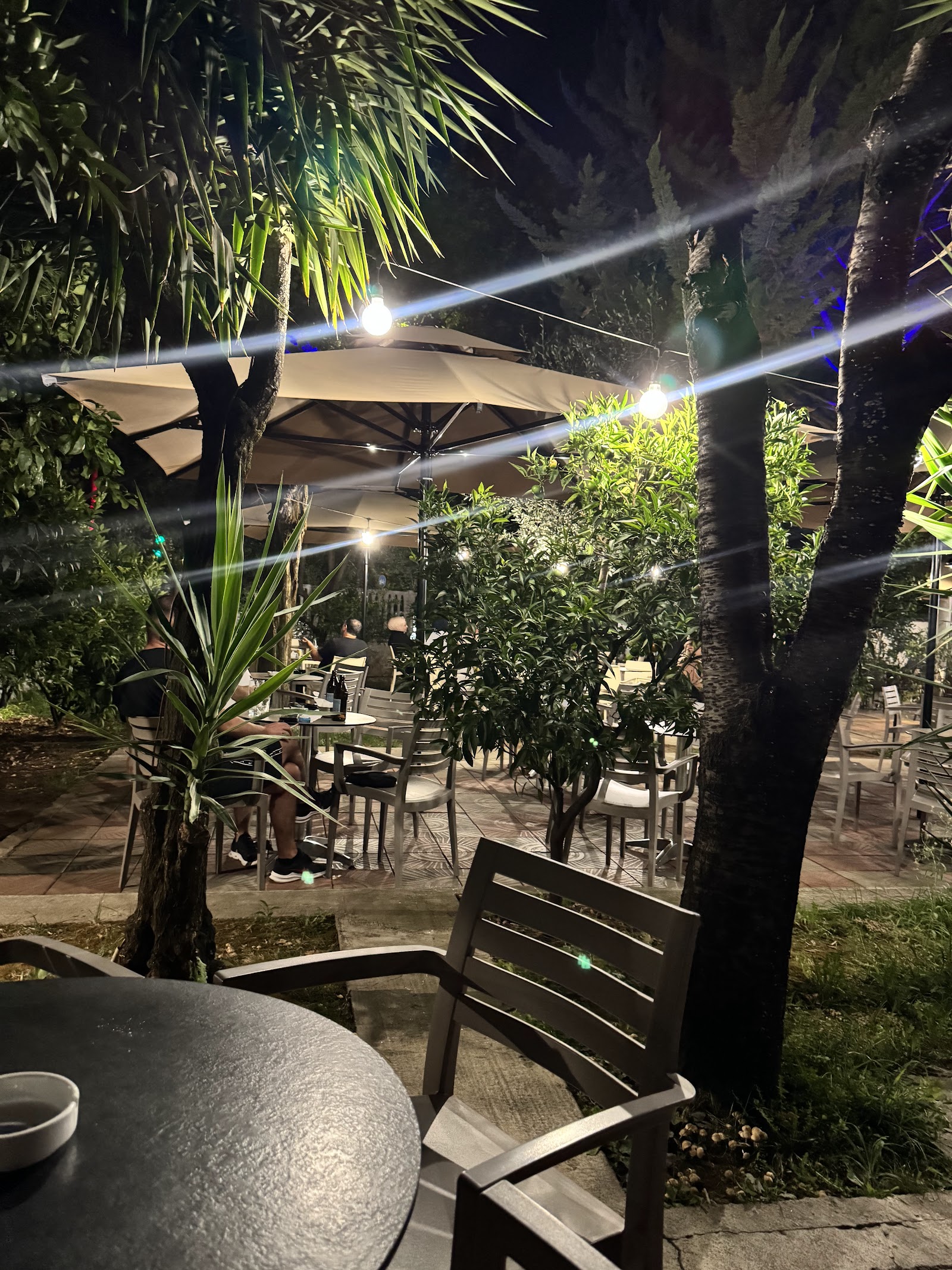 Jarna garden seating at night with string lights